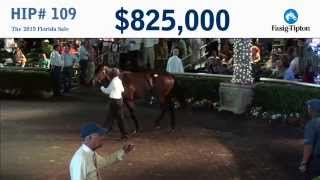 2015 Fasig-Tipton Florida 2YO Sale Hip 109