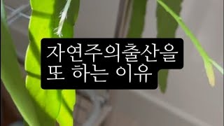 자출. 자연주의출산을 또 하는 이유