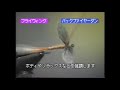 【vol.2】フライタイイング応用編／ビデオフライタイイングスクール video fly tying school vol.2 fly tying advanced