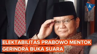 Elektabilitas Prabowo Disebut Sudah Mentok dan Berpotensi Turun, Ini Kata Gerindra