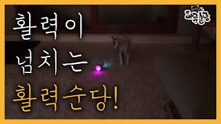 활력이 넘치는 활력순당! _harusundang_vol_016