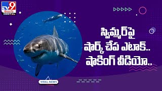 స్విమ్మర్‌పై షార్క్‌ చేప ఎటాక్‌.. షాకింగ్‌ వీడియో.. -TV9