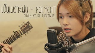 เป็นเพราะฝน - POLYCAT Cover