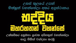 භද්දිය මහරහතන් වහන්සේ - අසූමහා ශ්‍රාවක අරිහතුන් වහන්සේලාගේ උත්තරීතර චරිතාපදාන Episode - 41