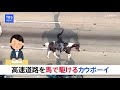 高速道路を馬で駆けるカウボーイ