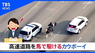 高速道路を馬で駆けるカウボーイ