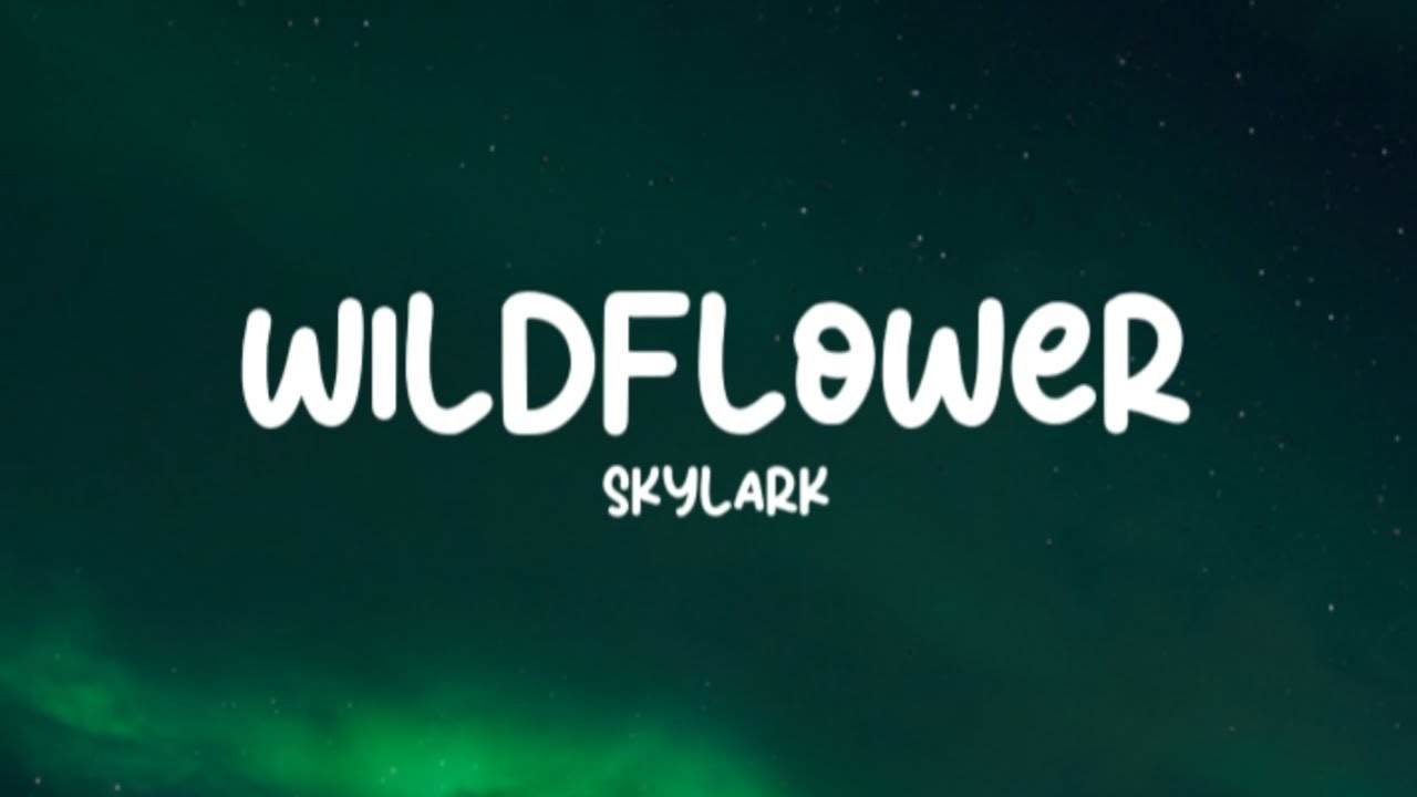 Skylark - Wildflower (Lyrics) - YouTube