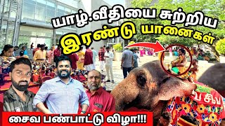 அநுர ஆட்சியில் தமிழர்பண்பாட்டு சிறப்பு விழாக்கள்...