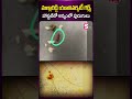 mallareddyuniversity mallareddy hostel viralnews latestnews latestupdates sumantv ytshorts