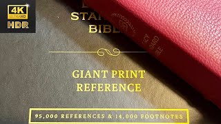 First Look: LSB Giant Print Reference (Burgundy Goatskin, Thumb Indexing); Bible Armor with Handle