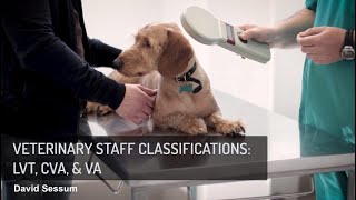 VSCP Summer Series: Veterinary Staff Classifications: LVT, CVA, \u0026 VA