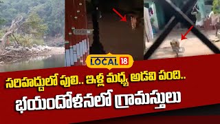 Adilabad: సరిహద్దులో పులి.. ఇళ్ల మధ్య అడవి పంది.. భయందోళనలో గ్రామస్తులు | #local18