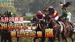 賽馬攻略FK (0527) 跑返田草千八 要認住呢隻鷹