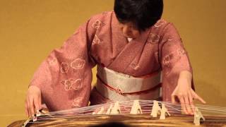 Koto Zither