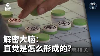 狮城有约 | 解密大脑：直觉是怎么形成的？