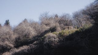 Lake Kasumigaura (Sony FX30)