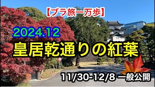 【ブラ旅一万歩 56】皇居乾通りの紅葉　#皇居一般公開 #皇居東御苑 #二の丸尚蔵館　#伊東若冲