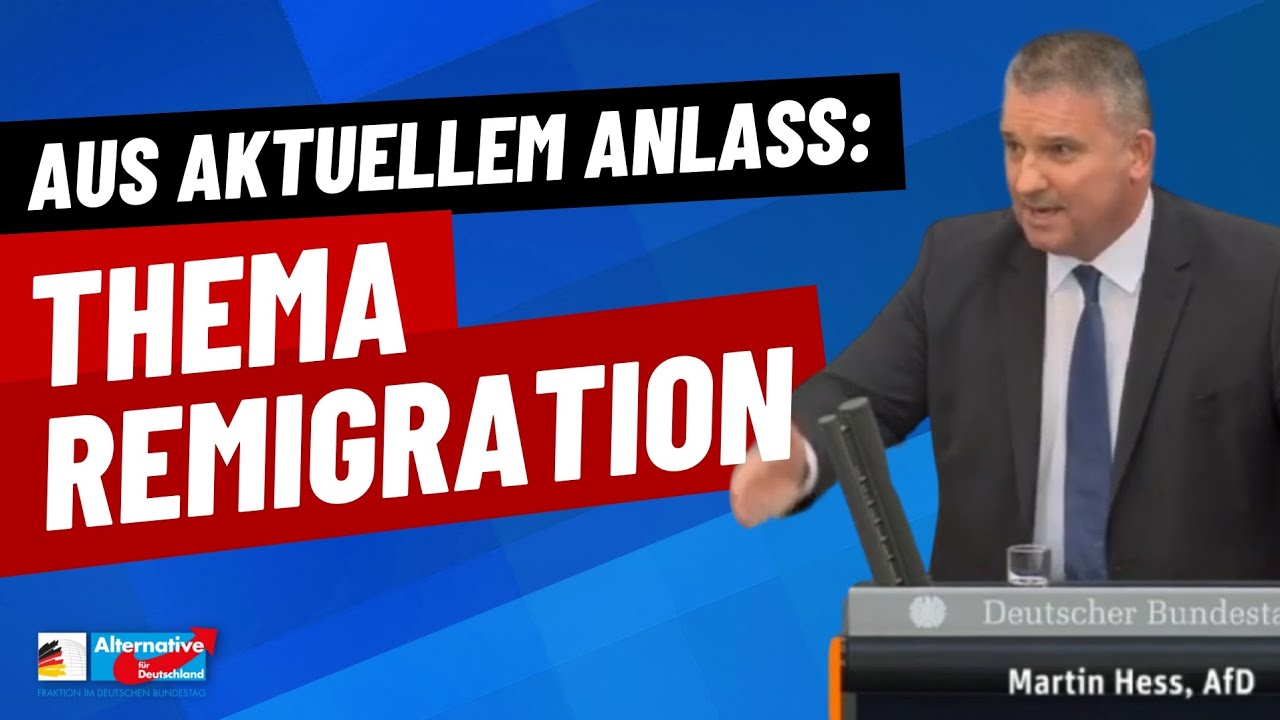 Was Die AfD Zur Remigration Wirklich Gesagt Hat! - YouTube