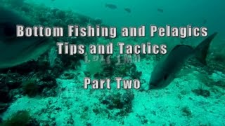 Pt. 2  Complete Guide to Offshore Bottom Fishing Deep Sea with Dylan Hubbard