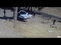 Robber vs THE WOLF and K9 in front of NoJack Office