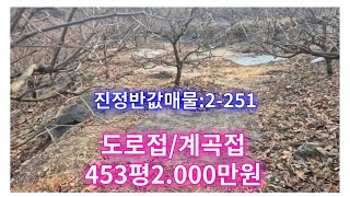 진정반값매물:2-251]도로,계곡접한 감나무밭 453평 2,000만원(땅조아)