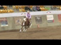 www.tophorse.com.au reining australia 2012 at tamworth open fururity