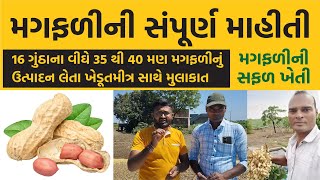 મગફળીની સંપૂર્ણ માહીતી | મગફળીની સફળ ખેતી | ખેડૂતમીત્ર સાથે મુલાકાત