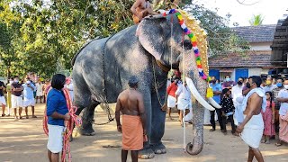 പഴയന്നൂർ ശ്രീരാമനും സാരഥികളും 🔥😎 | Pazhayannur Sreeraman | Pazhayannur Sreeraman Latest