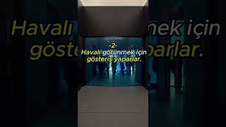 Cahil insanların 4 Özelliği