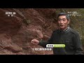 《地理中国》 山水奇观·大风顶谜影（上）：蜂箱被毁 家畜被袭 不明生物攻击村庄 20181030 cctv科教