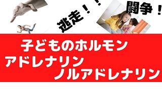 子どもの脳内物質アドレナリンとノルアドレナリンでどうなる？