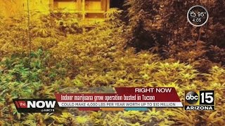 Indoor marijuana grow busted in Tucson