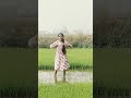 gutta kinda farmland dance folksong shaarvanikuchipudi cutegirl