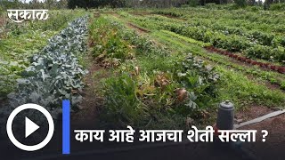 Agriculture Advice  | काय आहे आजचा शेती सल्ला | Sakal |