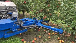 Otrząsarka hydrauliczna SH100 Producent AP100 (apple shaker)