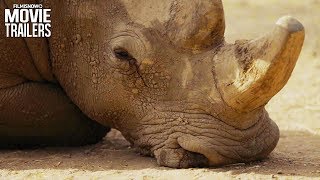 THE LAST ANIMALS Trailer | Kate Brooks wildlife poaching documentary