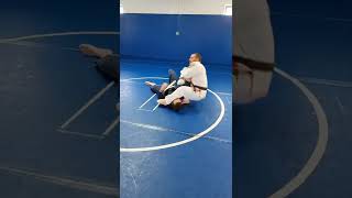 Ippon Seoi Nage To Arm Bar