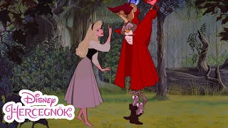 Csipkerózsika | Hol volt, hol nem | Disney Hercegnők