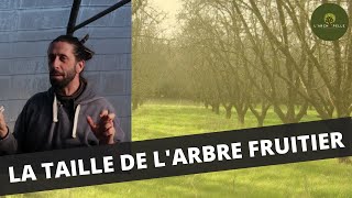 La taille de l'arbre fruitier par Le Jardin d'Emerveille (cours théorique)