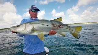 Monster Inlet Snook