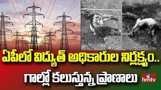 ఏపీలో విద్యుత్ అధికారుల నిర్లక్ష్యం..గాల్లో కలుస్తున్న ప్రాణాలు | hmtv News