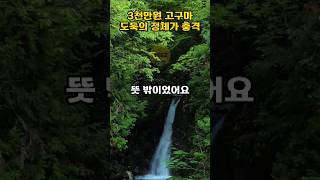 3천만원 고구마 도둑의 정체가 충격입니다.