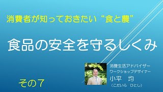 （７）食品の安全を守るしくみ