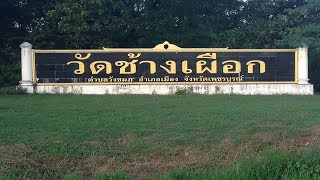 วัดช้างเผือก จังหวัดเพชรบูรณ์  (WAT CHANG PUAG ) PHET CHABUN Amazing Thailand.@2019