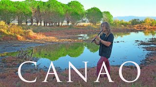 Native American Flute Music- 1 Hour Meditation Sleep Healing Music - CANAO Music