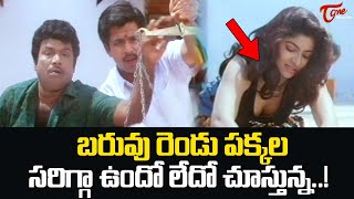 బరువు రెండు పక్కల సరిగ్గా ఉందో లేదో చూస్తున్న.! Goundamani Funny Comedy Scene | Navvula Tv