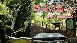 野鹿の滝 へのアクセス 林道 頭巾山線 野鹿谷林道 福井県おおい町 道の駅 名田庄から野鹿の滝への往路 道路状況 2023.05.01 insta360 ONE X2