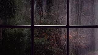 Ludovico Einaudi - Experience (1 hour + rain slowed)