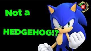 sonic EXPOSED!!