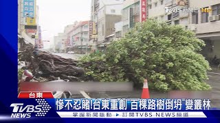 不忍睹! 台東重創「百棵路樹倒坍」變叢林｜TVBS新聞 @TVBSNEWS01